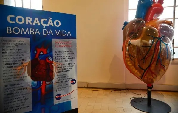 Internações por infarto aumentam mais de 150% no Brasil