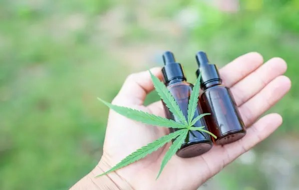 Importação de produtos a base de cannabis cresce 93% em 12 meses