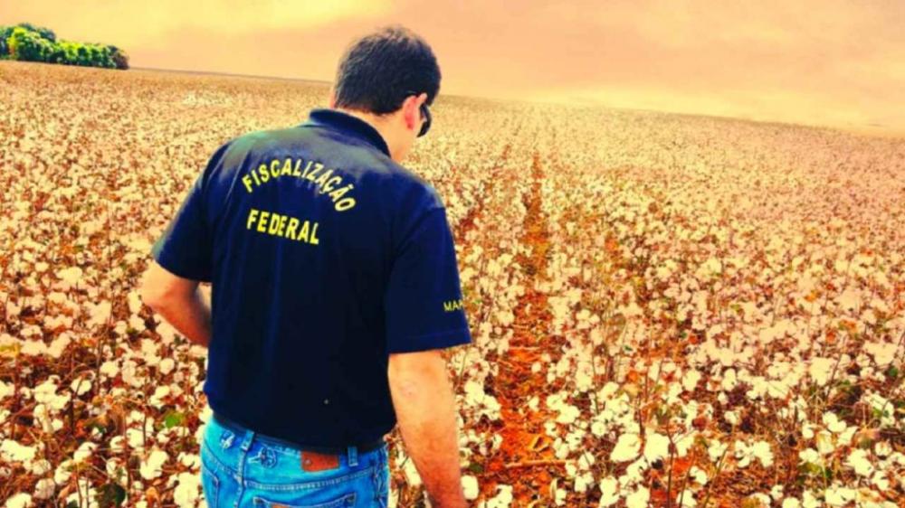 Concurso do Ministério da Agricultura ofertará cerca de 520 vagas