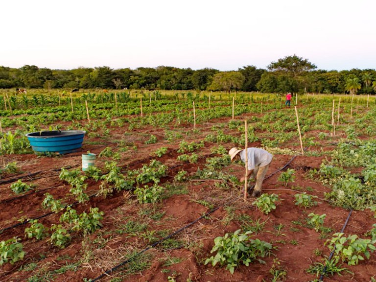 Começam as inscrições para 50 vagas em lotes da reforma agrária em Canudos e Sítio do Quinto