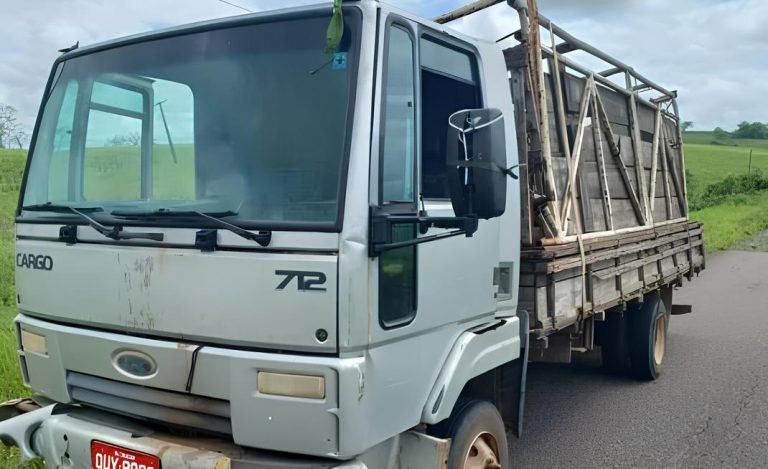 Carga de gado Nelore roubada é encontrada na Bahia