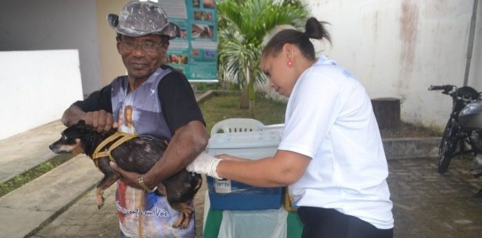 Mais dois casos de raiva em morcegos confirmados; Vacina em cães e gatos intensificada