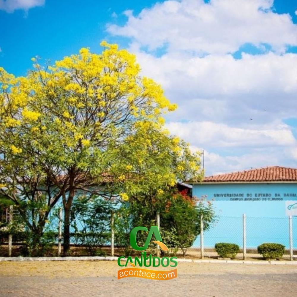 Vestibular Uneb 2024: Inscrições abertas para cursos EAD no Campus Avançado de Canudos; confira 