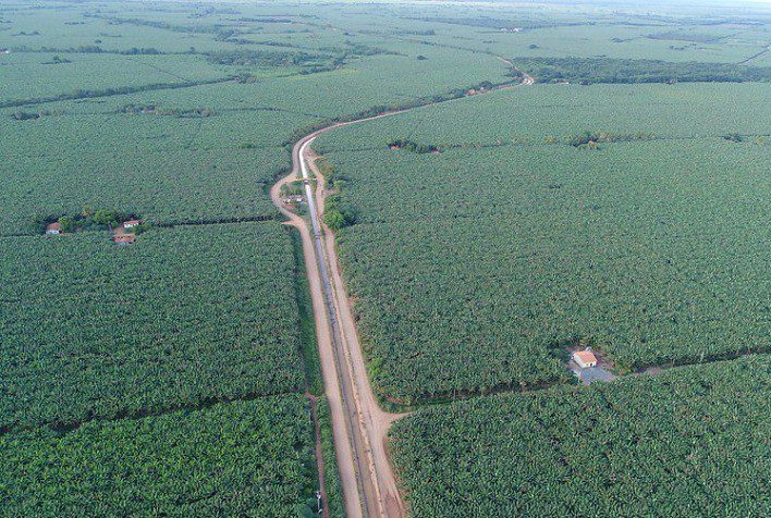 Graças a Bom Jesus da Lapa, Bahia é o segundo maior produtor de banana do país
