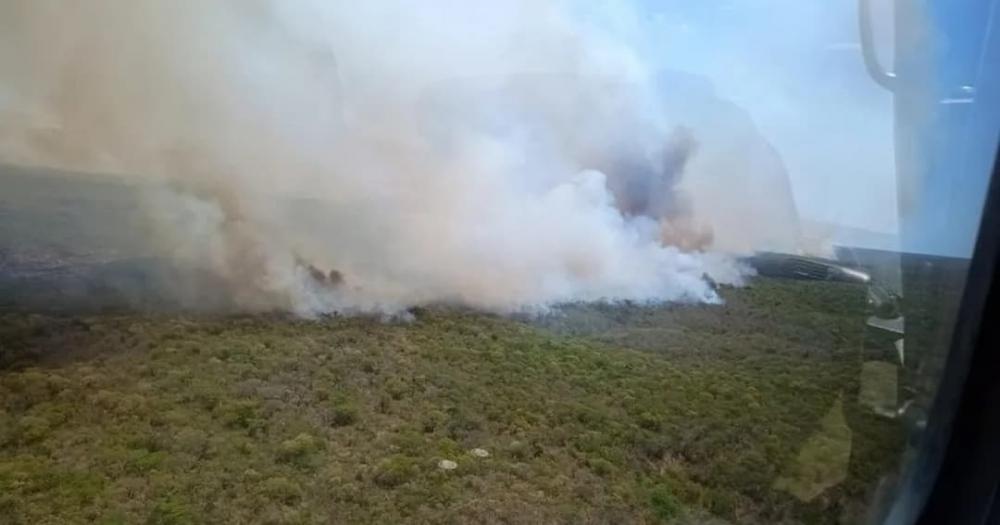 Incêndio em área de vegetação na Bahia avança sobre territórios de estado vizinho