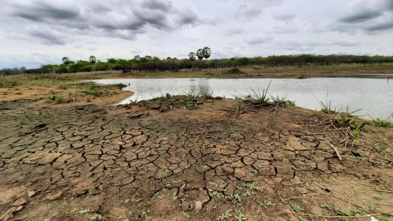 Período de seca severa leva a estado de emergência em 99 municípios baianos; Entre as cidades afetadas estão Jeremoabo, Santa Brígida e Feira de Santana