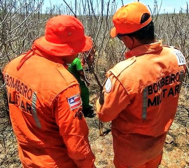 CORPO DE BOMBEIROS REALIZA TREINAMENTO DE PREVENÇÃO E COMBATE À INCÊNDIOS COM SERVIDORES DO CAMPUS AVANÇADO DE CANUDOS.