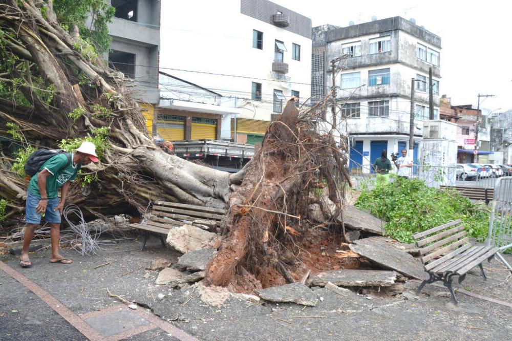 Bahia registra temporal, ventos fortes e queda de energia