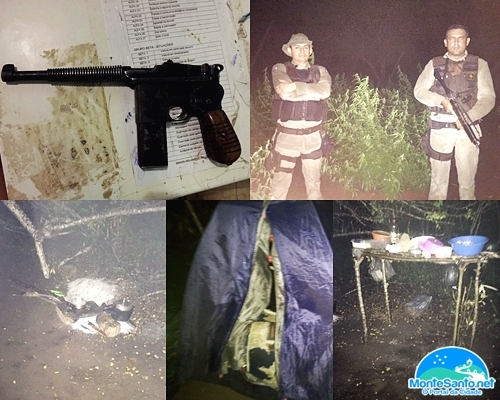 POLÍCIA ENCONTRA CORPOS, PLANTAÇÃO DE MACONHA E ARMAS NA ZONA RURAL DE MONTE SANTO-BA