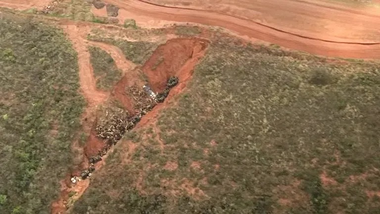 Ibama multa fazendeiros na divisa Bahia - Tocantins