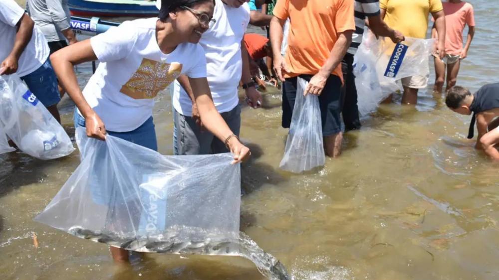 Rio São Francisco recebeu 150 mil alevinos de espécies nativas durante mutirão de povoamento