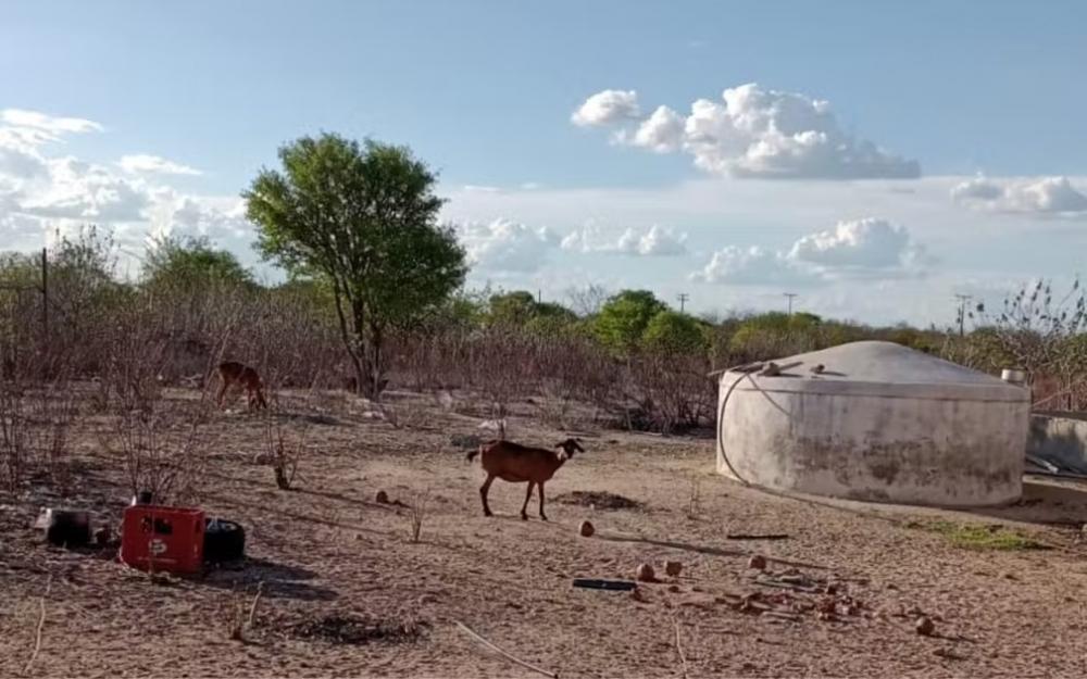 Como a recente descoberta do primeiro clima árido no Brasil pode impactar o restante do país