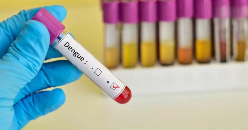 DF confirma mais uma morte por dengue; psicóloga de 29 anos é a vítima