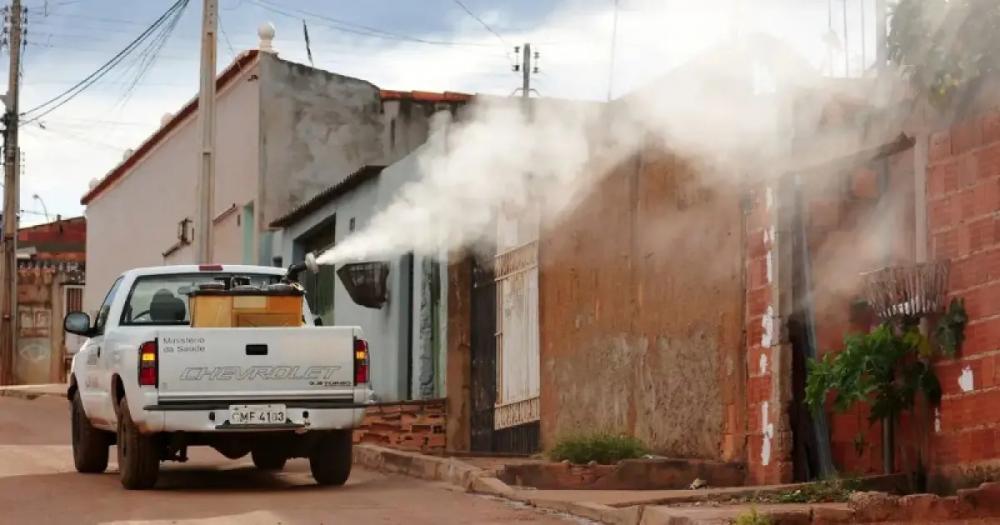 Ivermectina não é eficaz contra dengue, alerta Ministério da Saúde