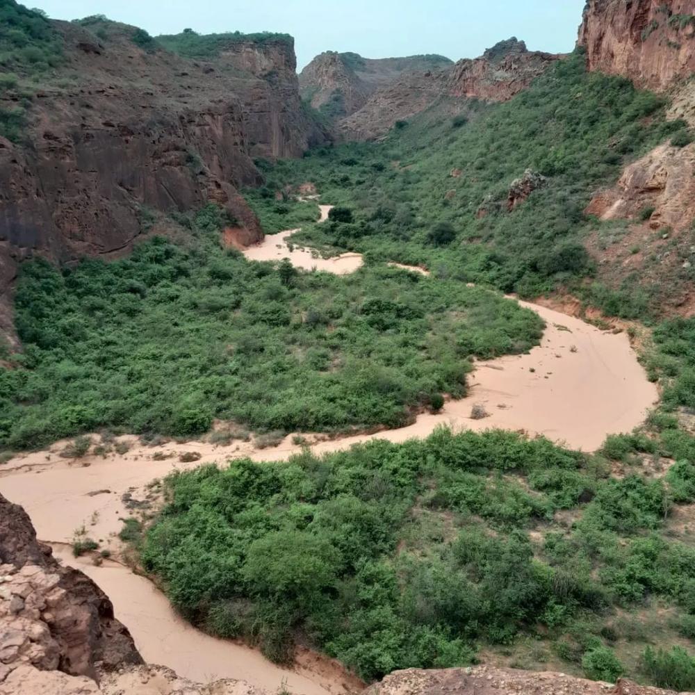Descubra a Beleza Natural: Roteiros de Paredões e Trilha do Areal
