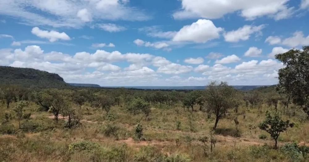 Município baiano lidera desmatamento no Cerrado em janeiro; bioma registra melhora na conservação