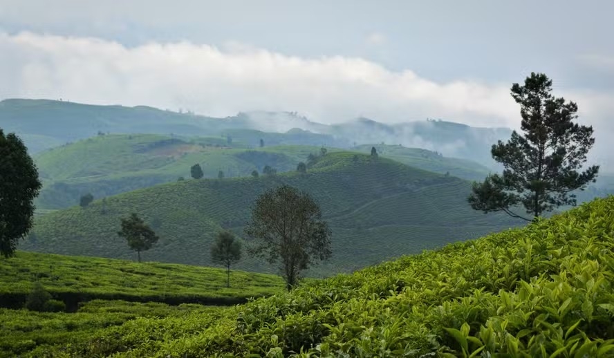 Conheça 10 práticas para ter uma fazenda sustentável