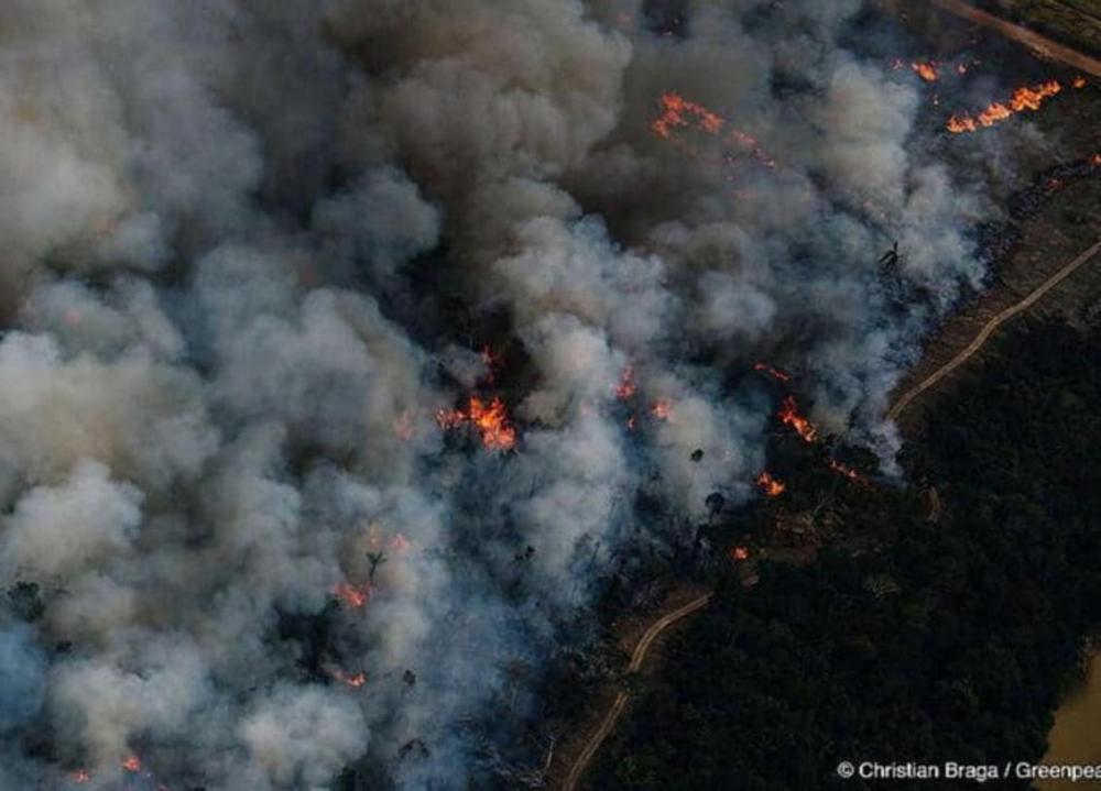 Quadruplica número de queimadas no Brasil com impacto do El Niño