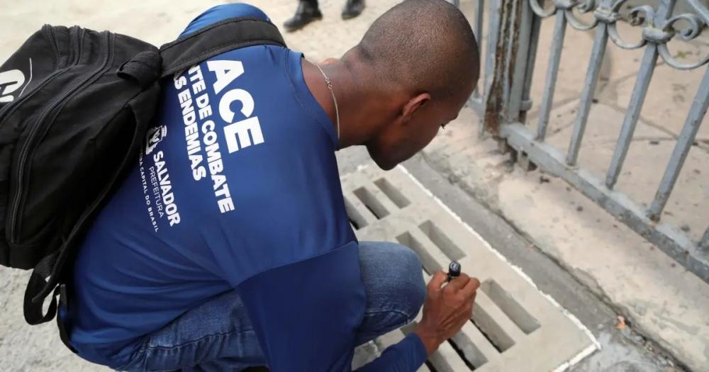 Salvador entra em estado de epidemia de Dengue