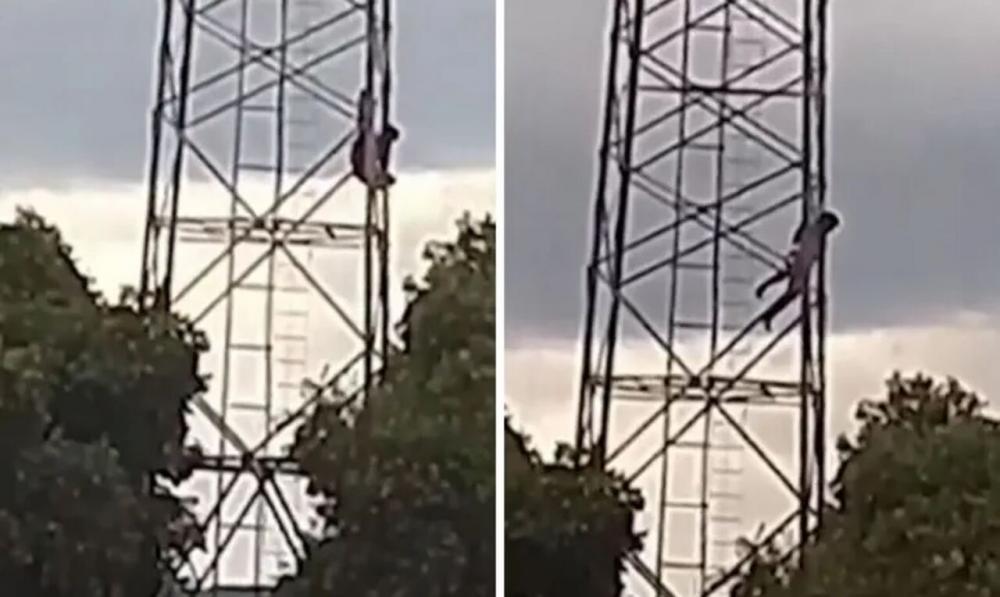 Homem cai de torre telefônica após ataque de abelhas na Bahia