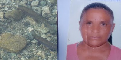 ARACI-BA: GARI É MORTA COM 6 TIROS, ACUSADA DE TER FURTADO DOIS PEIXINHOS DO VIZINHO