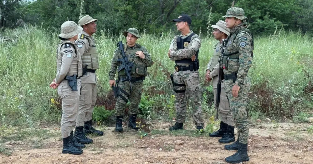 PM e PF desmontam plantação que geraria 1 tonelada de maconha