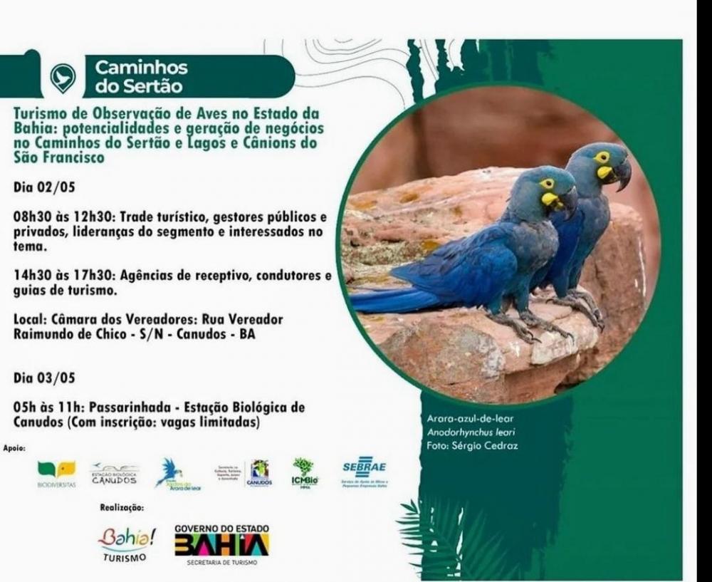 Potencial do Turismo de Observação de Aves no Sertão da Bahia!