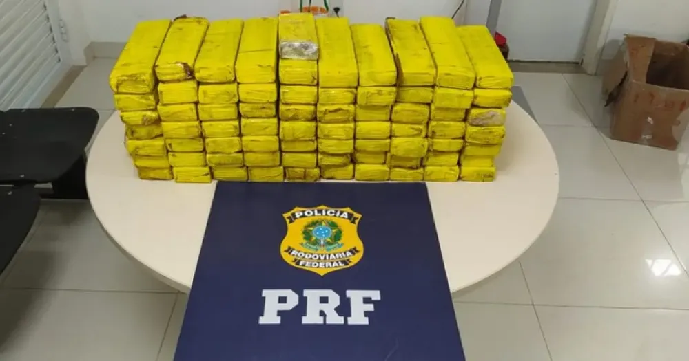 PRF apreende mais de 50kg de maconha em bagageiro de ônibus no interior da Bahia