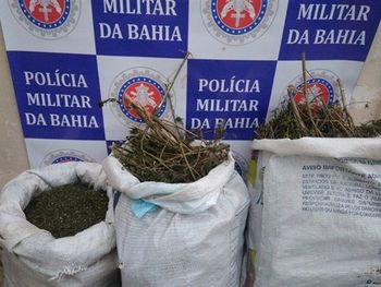 PM apreende maconha e localiza desmanche em Abaré- BA