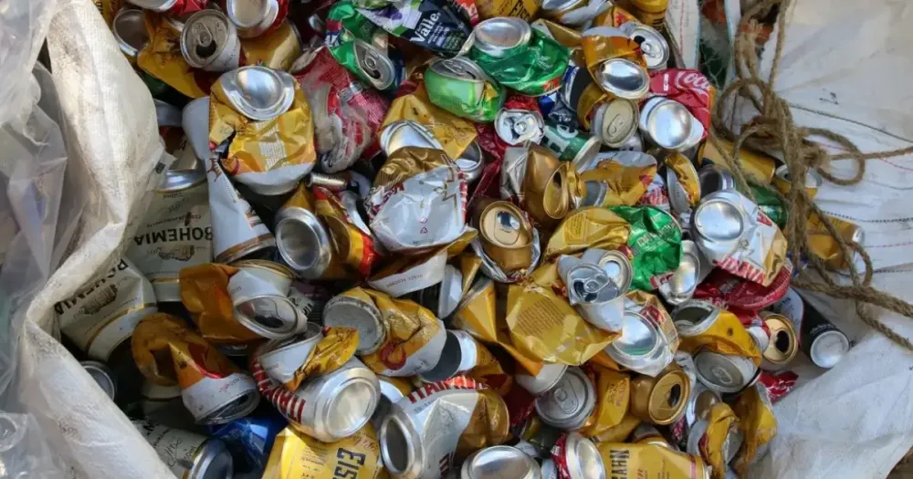 1 em cada 3 brasileiros que diz ter coleta seletiva não separa o lixo, aponta Datafolha