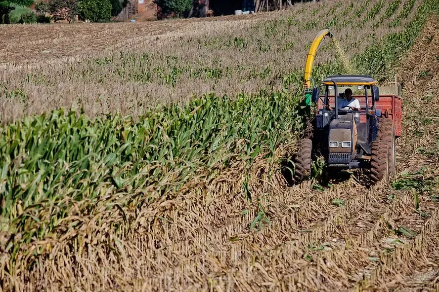 Plano Safra 24/25: regulamento de limites de compra de agricultores familiares muda