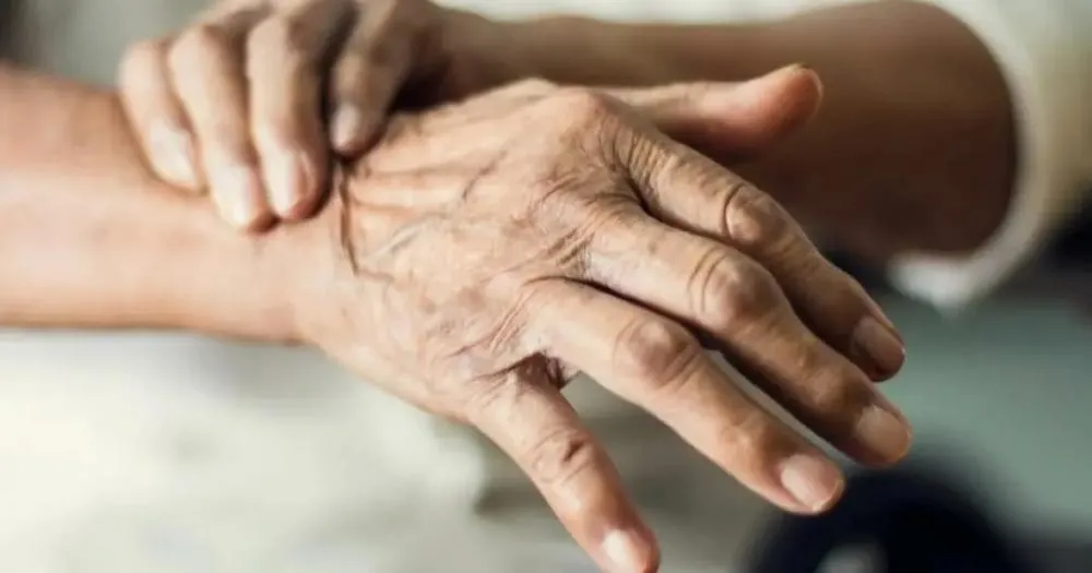 Pesquisa Japonesa descobre algas marinhas que podem auxiliar na prevenção do Parkinson