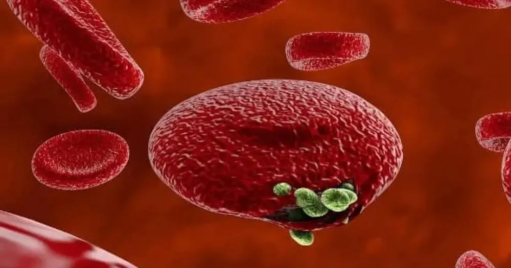 Pesquisadores criam duas primeiras drogas antimaláricas 100% desenvolvidas na África
