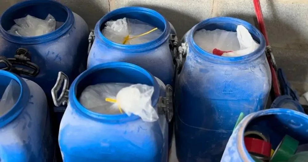 Polícia Civil da Bahia realiza a maior apreensão de cocaína do ano