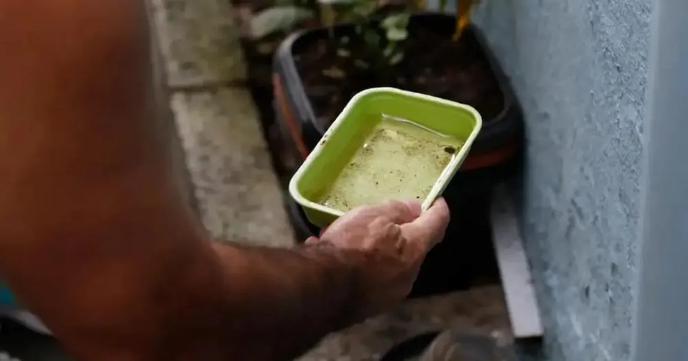 Brasil registra mais de 6,5 milhões de casos prováveis de dengue em 2024