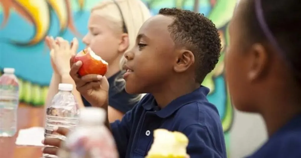 Escola tem que ensinar a criança a se alimentar bem, defendem entidades