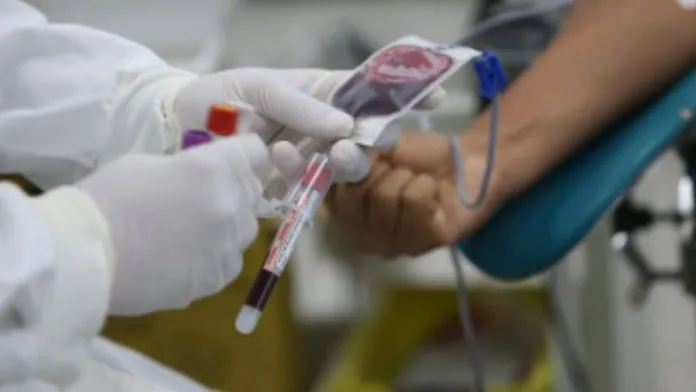 STF reconhece direito de recusa de transfusão de sangue por testemunhas de Jeová
