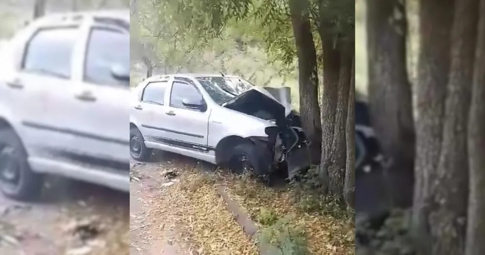 Dois homens ficam feridos em colisão de carro com árvore na curva da AL-145, em Água Branca