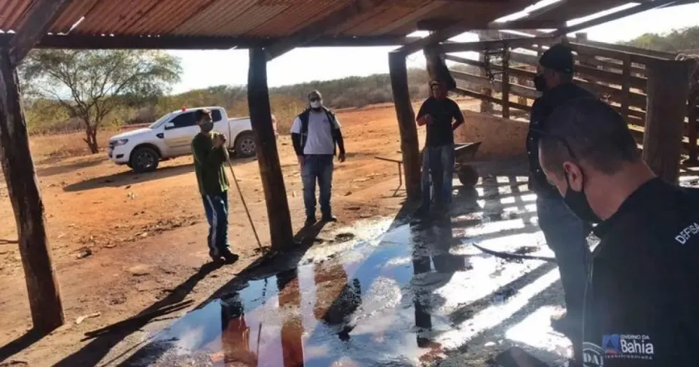 Combate a abate clandestino na Bahia depende de mudança cultural e maior ação de municípios, avalia diretor da Adab
