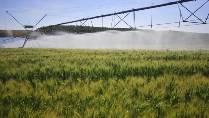 Bahia tem oito municípios entre os cem mais ricos do agronegócio em 2023