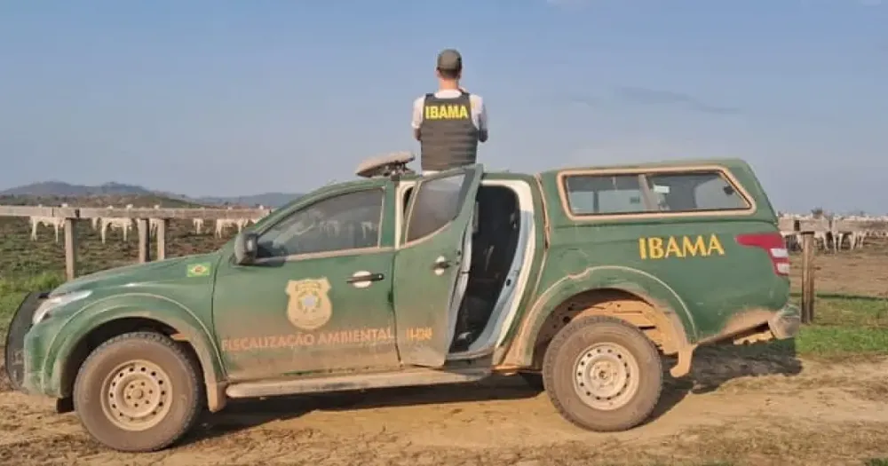 Ibama mira JBS e outros frigoríficos com R$ 364 milhões em multas por carne ilegal