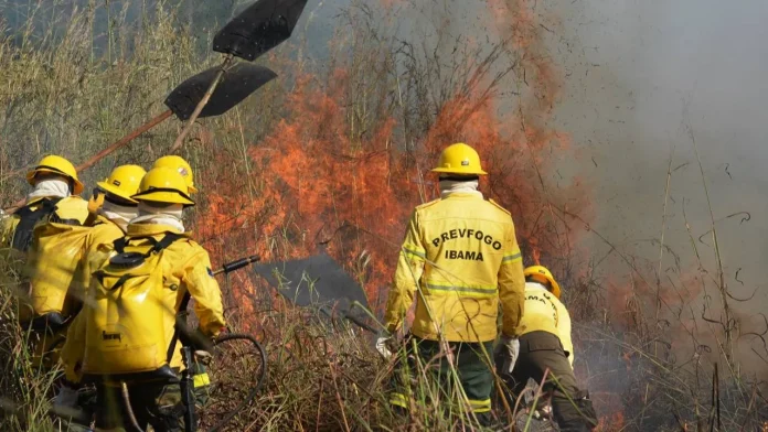 Prevfogo/Ibama abriu processos seletivos na Bahia, Ceará, Pernambuco e Mato Grosso do Sul