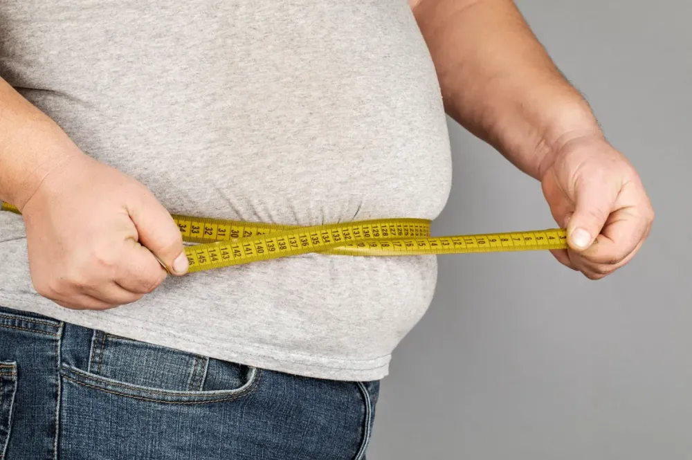 Neurônios do hipotálamo podem ser chave para tratamento da obesidade