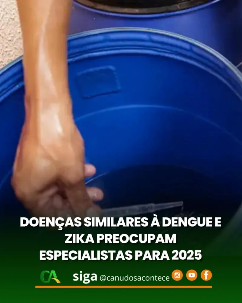 Doenças similares à dengue e zika preocupam especialistas para 2025