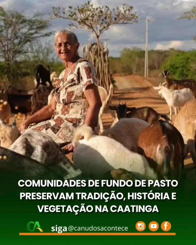 Comunidades de fundo de pasto preservam tradição, história e vegetação na Caatinga