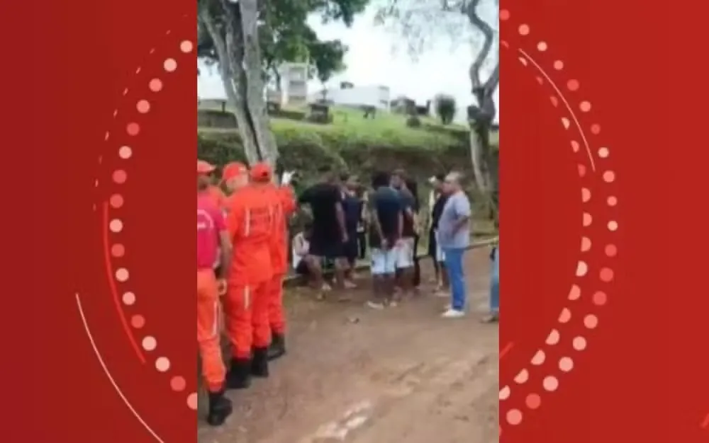 Enxame de abelhas ataca pessoas durante enterro na Bahia