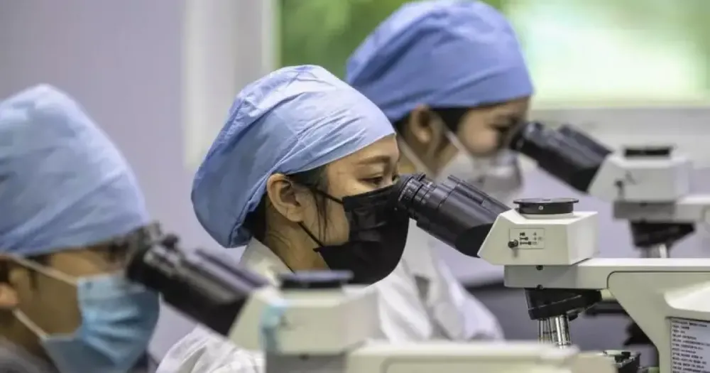 Cientistas chineses descobrem novo coronavírus em morcegos com potencial de transmissão para humanos
