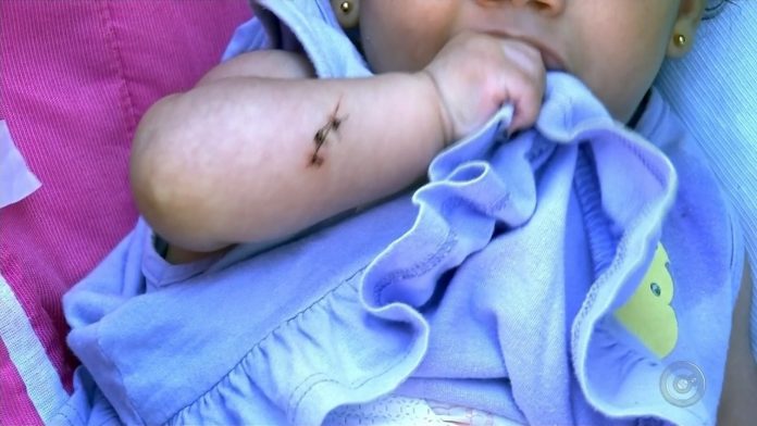 Ladrão esfaqueia bebê de três meses por mãe não ter celular