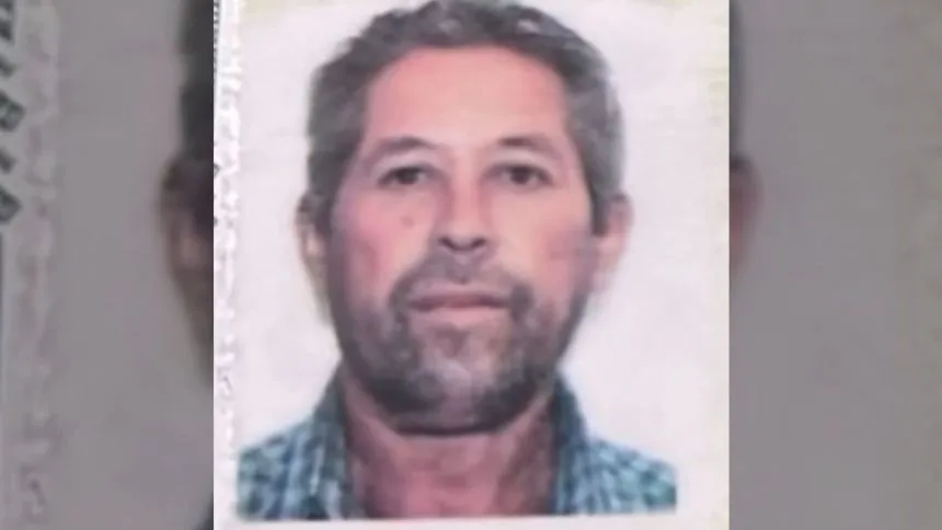Homem morre após ser mordido nas nádegas por porco solto em rua de Batalha (AL)