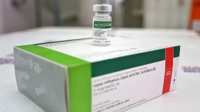 Bahia recebeu e vai distribuir 428 mil doses da vacina contra a gripe